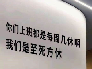 现实版的速度与激情