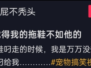 狗狗觉得主人的拖鞋不好后，哈哈哈哈太可爱了