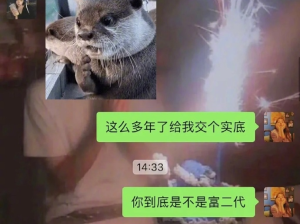 当你的闺蜜突然发疯，哈哈哈哈哈哈属实犯贱了