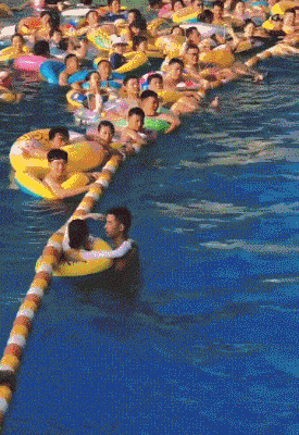 应聘这个需要什么资质