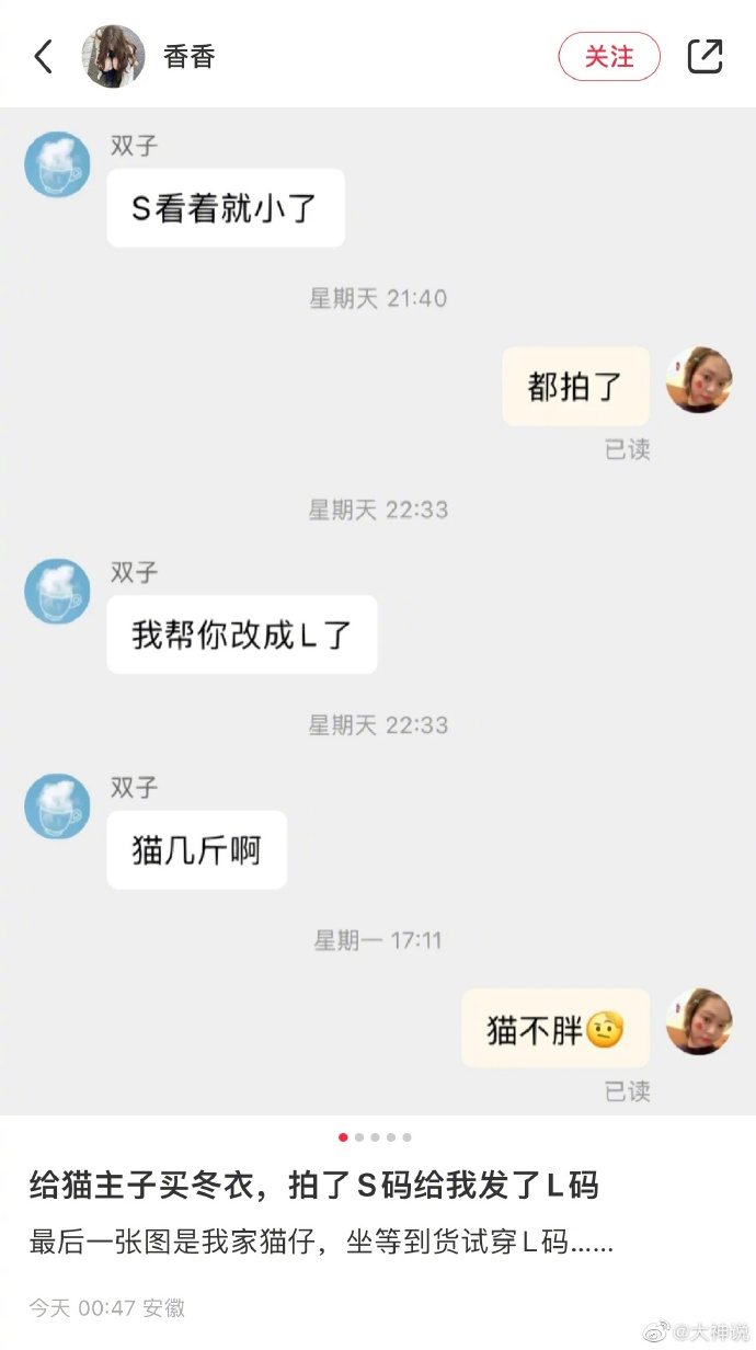 当小胖猫到实诚卖家，哈哈哈哈哈哈还挺倔