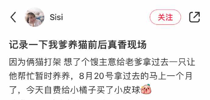 网友爸爸养猫后变化有多发，哈哈哈哈哈哈真香现场