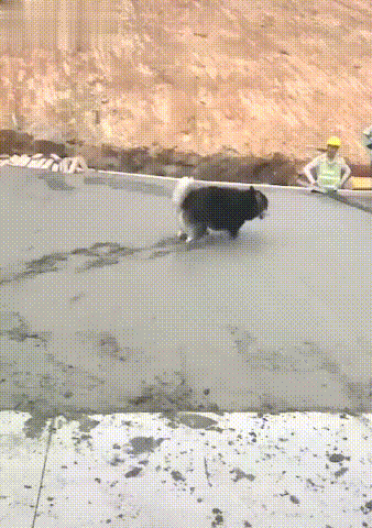 “车上天降用过的durux？！”妹子爆出现场照，5000好友都炸了！！！