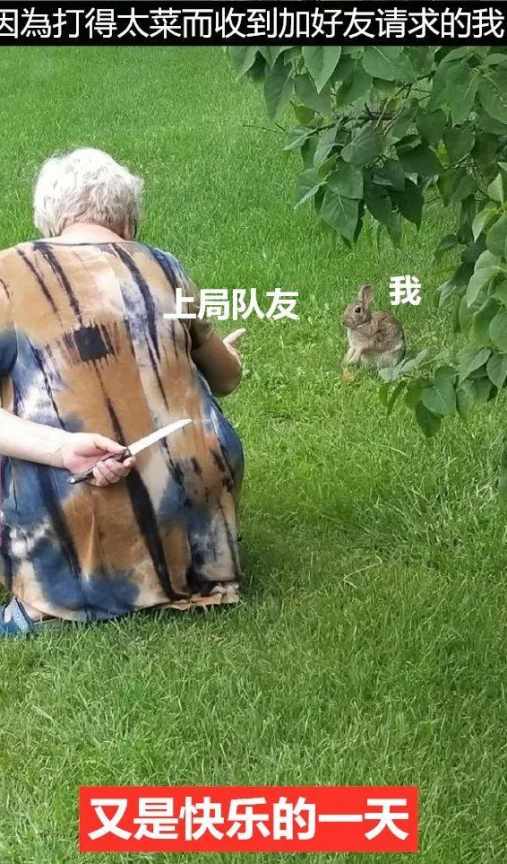 我还太纯洁，这张图我看不懂！