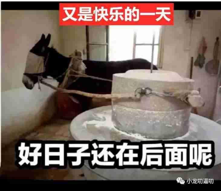 导演：现在的人都爱看纯爱，她可太会了