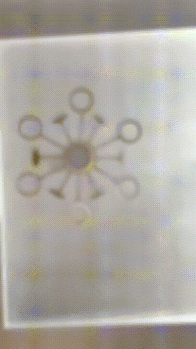 第一次被这么多好看的人盯着