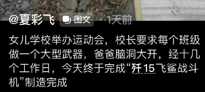 现在家长都这么卷的吗，直接造飞机！！！