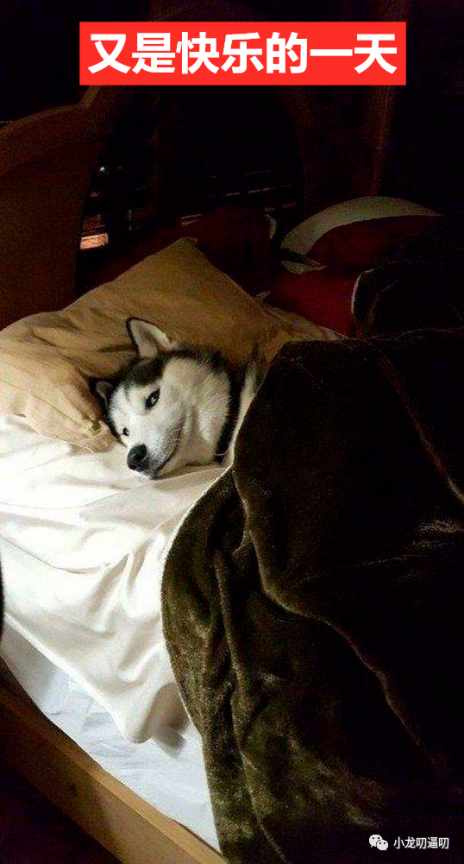 ​对会做饭的女孩子没有抵抗力