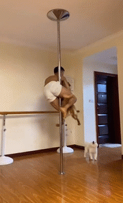 似乎在烤鸭店见过这种场景