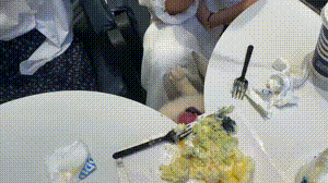 凭自己的本事吃饭